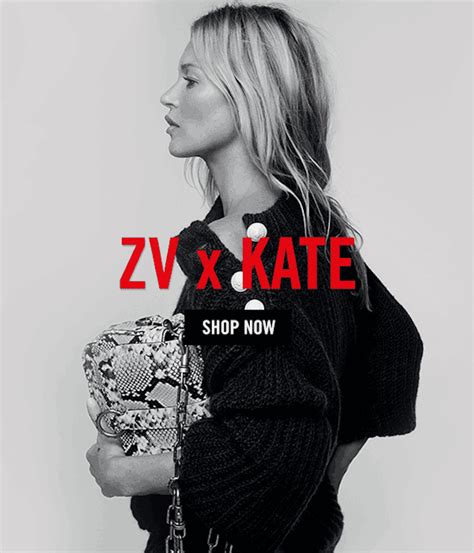 zadig website.